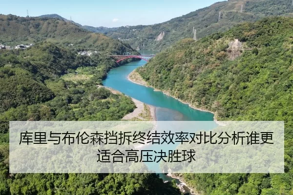 ku-li-yu-bu-lun-sen-dang-chai-zhong-jie-xiao-lv-dui-bi-fen-xi-shui-geng-shi-he-gao-ya-jue-sheng-qiu-2-378.jpg