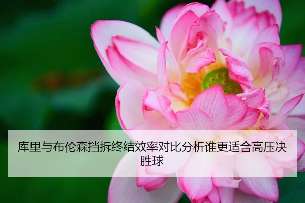 库里与布伦森挡拆终结效率对比分析谁更适合高压决胜球
