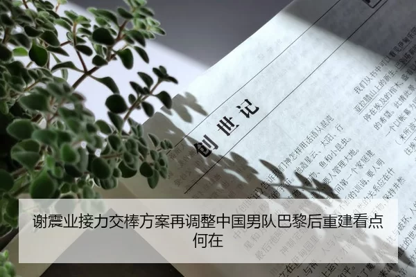 谢震业接力交棒方案再调整中国男队巴黎后重建看点何在