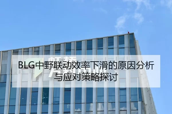 BLG中野联动效率下滑的原因分析与应对策略探讨